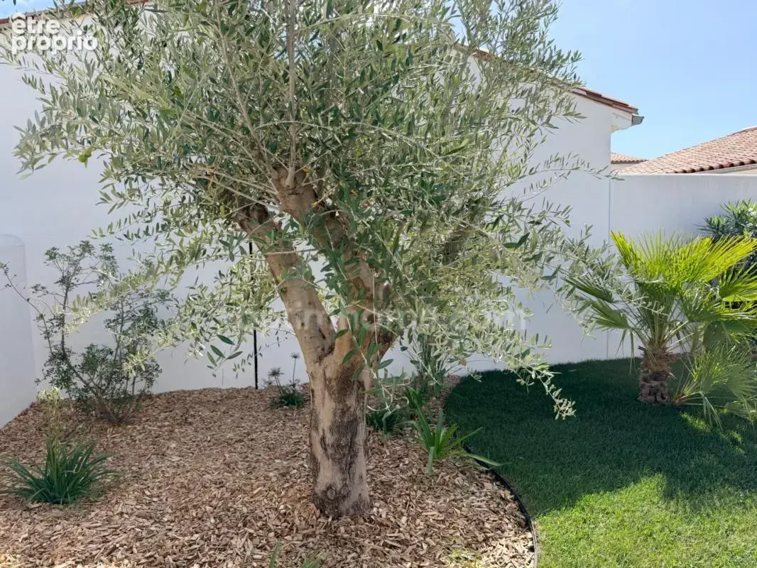 Bois Plage en Ré Maison neuve de plain-pied avec piscine, jardin et quatre chambres villa Haut de gamme - photo 14