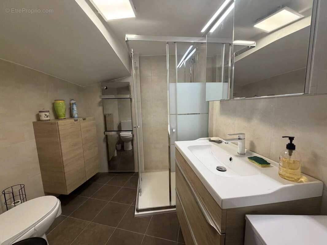 Maison de village divisée  en deux appartements, 2 pièces avec terrasse et 1 studio indépendant - photo 14