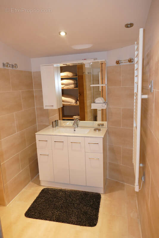 Maison avec très grand garage-atelier au bord du Lot (Cassaniouze, 15) - photo 9