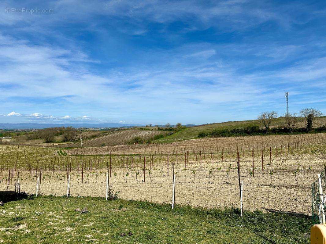 Maison à BELLEGARDE-DU-RAZES