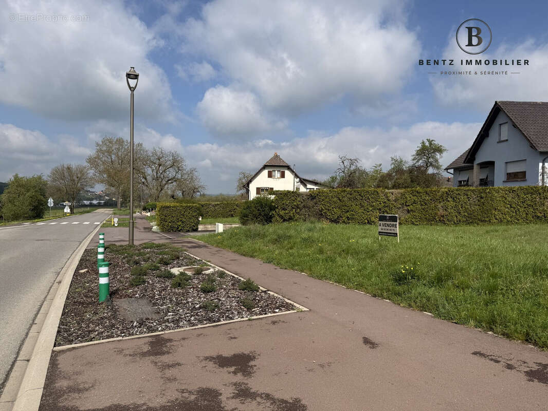 Proximité voirie  - Terrain à ASSWILLER