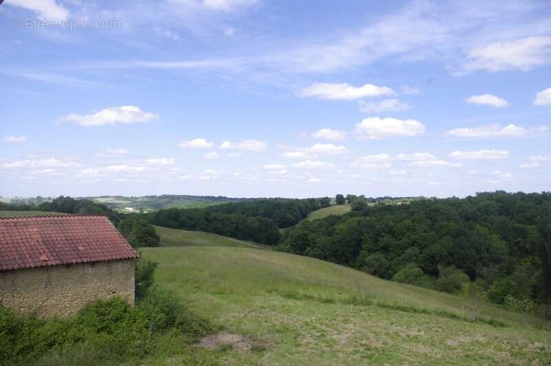 PEYRUSSE VIEILLE, secteur vallonné, belle propriété  de 227 m² avec vue panoramique et environnement privilégié - photo 2