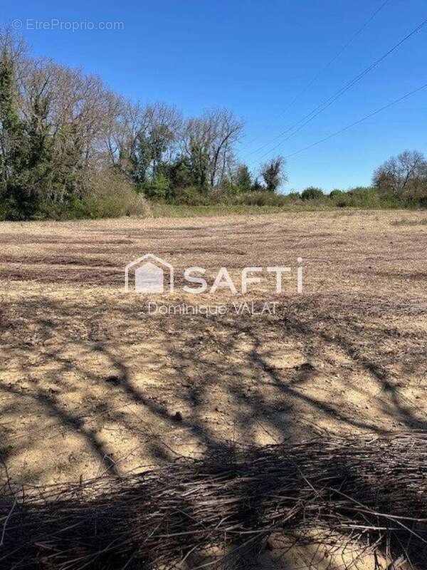 Photo 7 - Maison à SAINT-JEAN-DE-CRIEULON