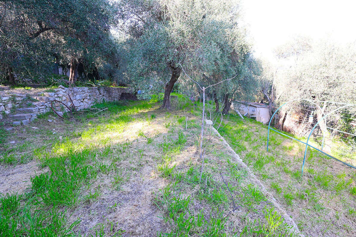 Terrain à SPERACEDES