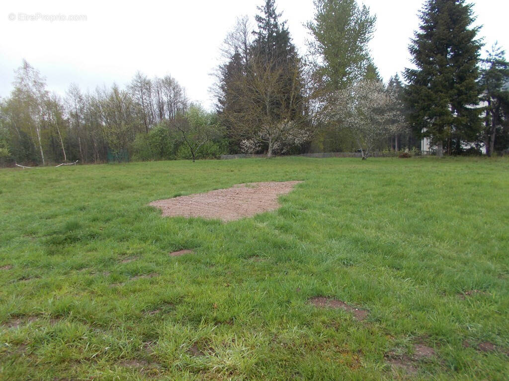 Terrain à LA BOURGONCE