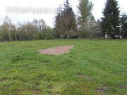 Terrain à LA BOURGONCE