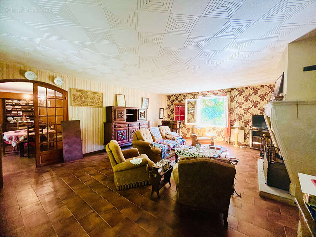 Maison à PENNE-D'AGENAIS