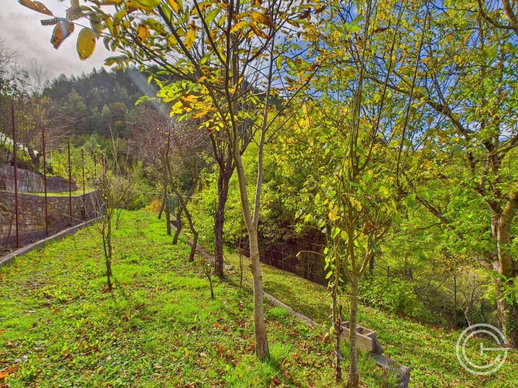 Maison de village à terminer - Terrains - Gorblaou-St-Colomban - Lantosque - photo 6