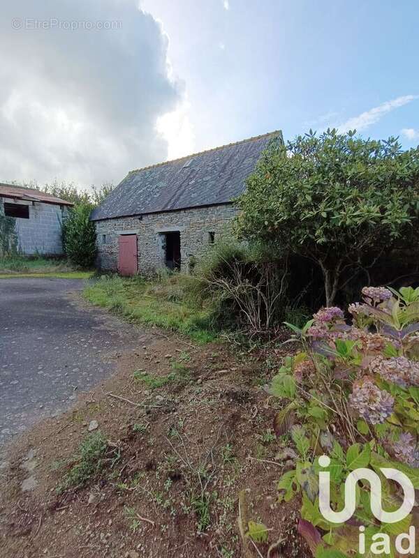 Photo 4 - Maison à SAINT-CONNAN