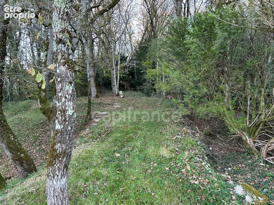 Maison à vendre 11 pièces 8 chambres SAVIGNAC LES EGLISES (24) proche école de Savignac, 1239m² de terrain - photo 26