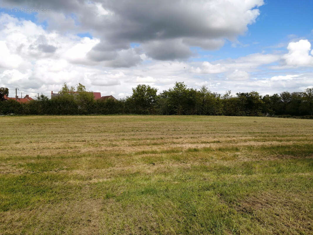 Ancien corps de ferme sur plus d'un hectare ! - photo 23