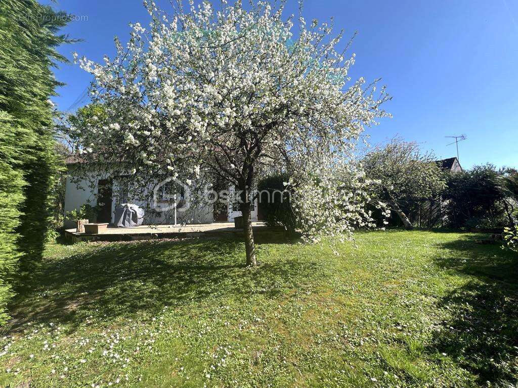 Maison à SAINT-JEAN-DE-BRAYE