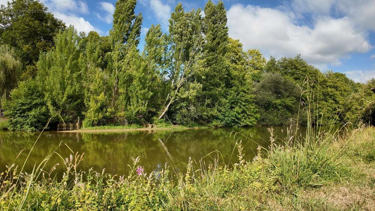 Maison à PEYREHORADE