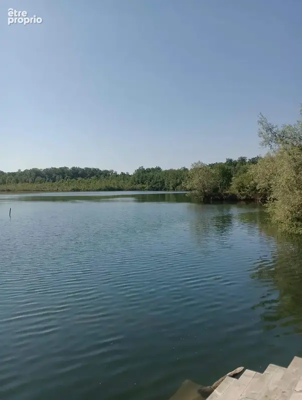 Vente étang de 11 ha environ sur terrain de 14 ha environ AILLONCOURT (70) - photo 8