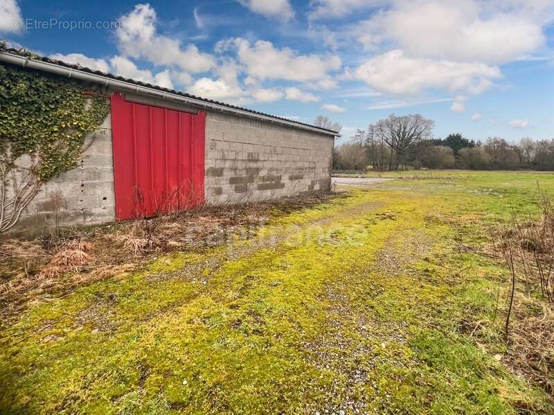 À vendre - colembert - propriete - superfice terrain 14300 m2 - longère rénovée - hangar - terrain constructible  - pature - gar - photo 14