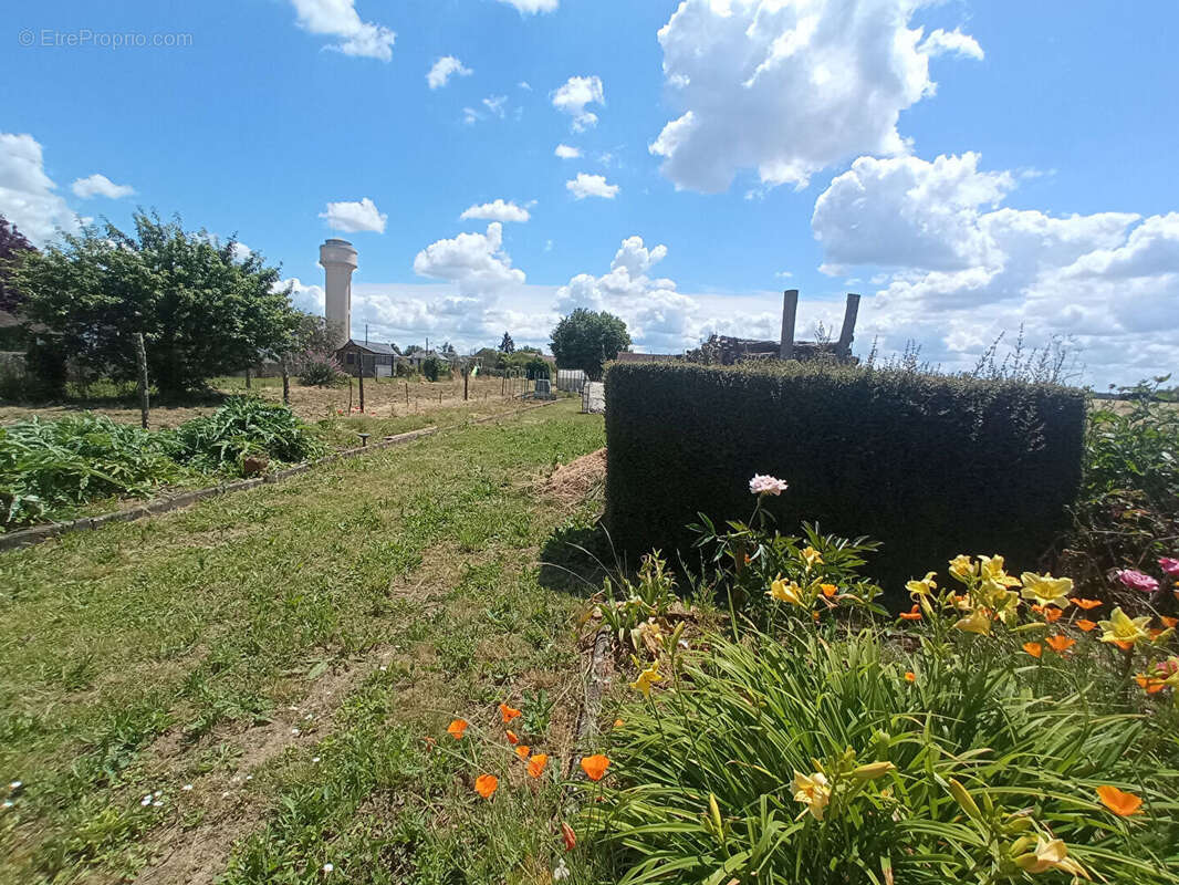 Terrain à CRUCHERAY