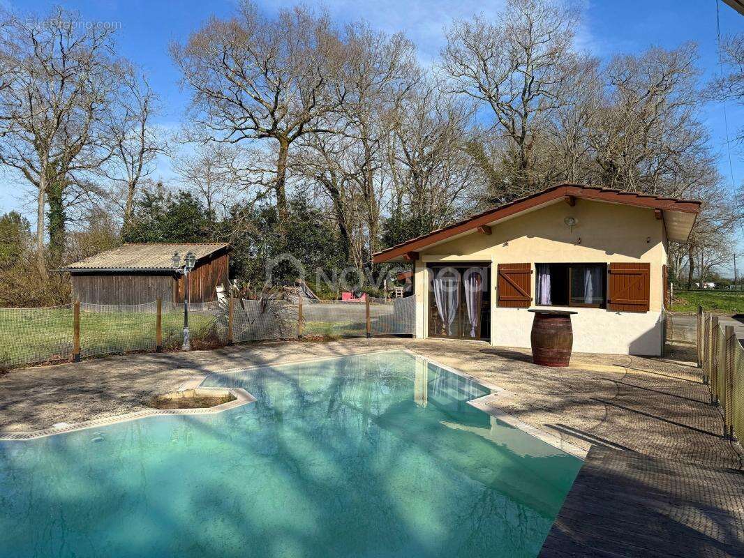 Propriété 7 pièces - photo 9