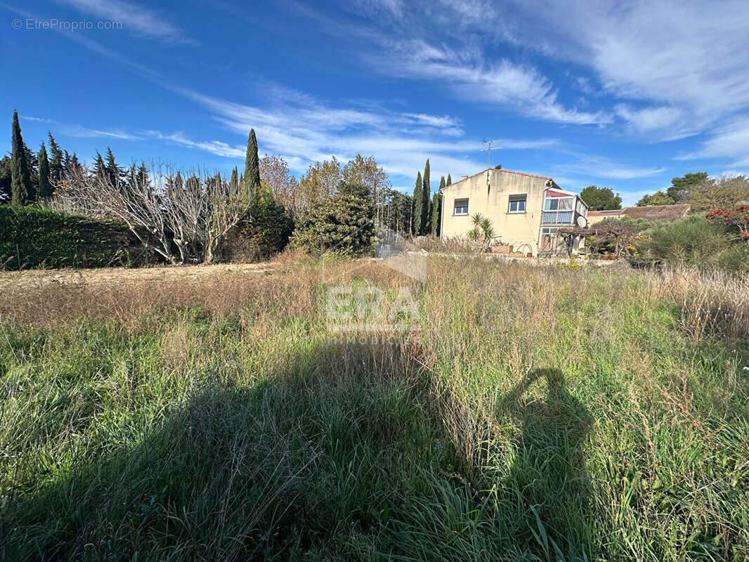 Terrain à CORNILLON-CONFOUX