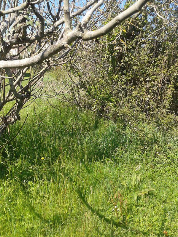 Terrain à SAINT-SULPICE-SUR-LEZE