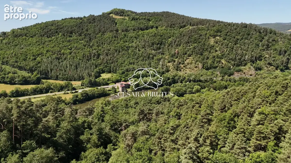 Maison 11 pièces 343 m² à vendre à Saint-Vincent (43800) - photo 4
