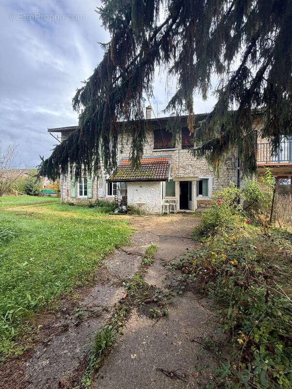 Maison 239 m² à Simandre-Sur-Suran  - photo 2