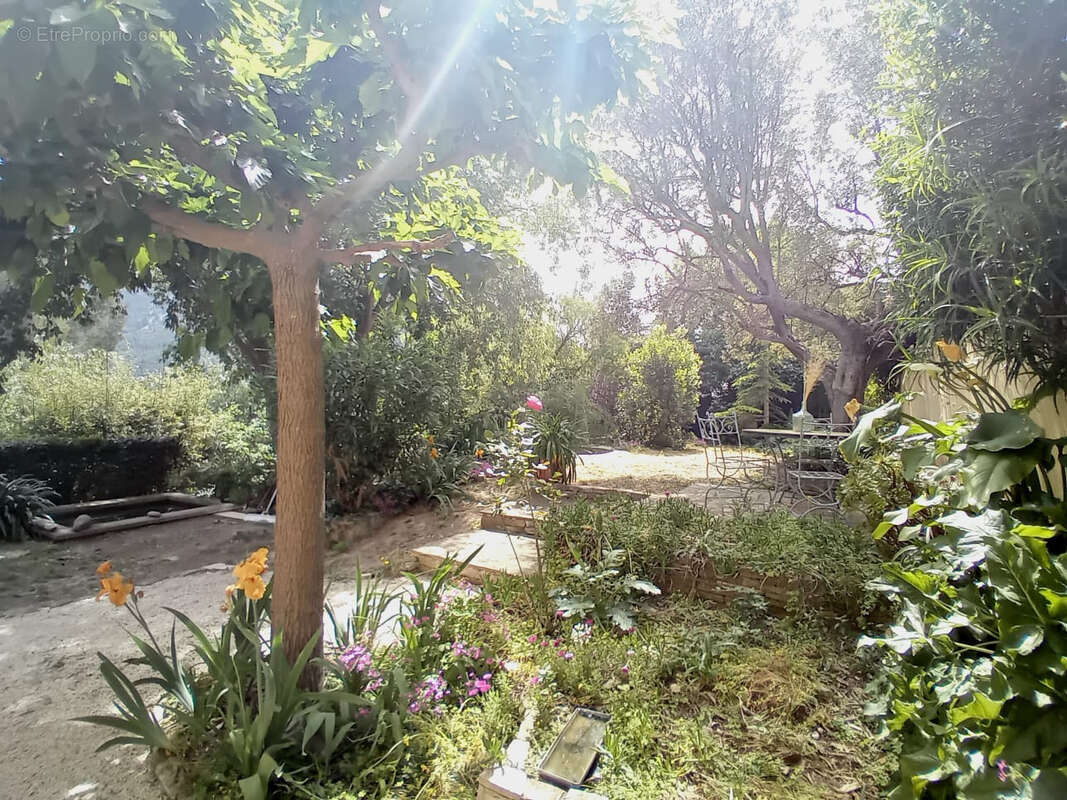 Maison à TOULON