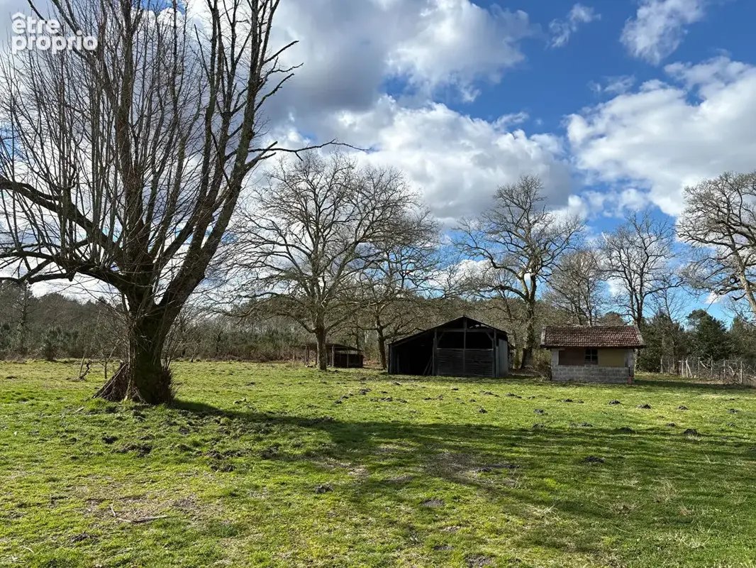 Maison Rion Des Landes 6 pièce(s) 151 m2 - photo 14