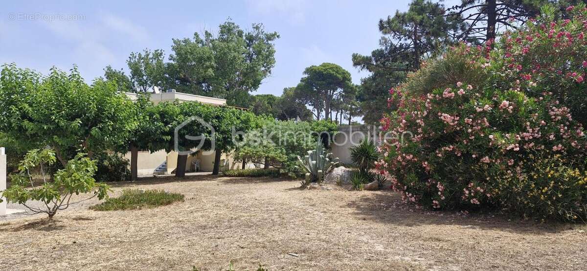 Appartement à LE BARCARES