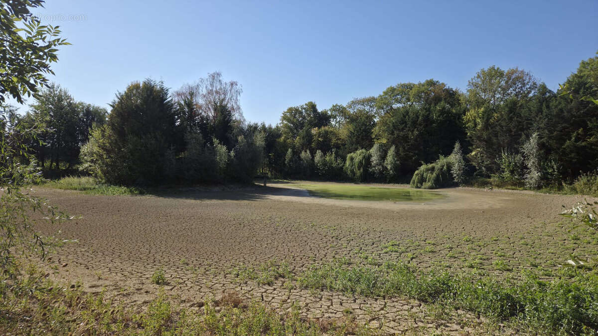 Très belle propriété de 218 m² sur plus de 20 000 m² de terrain avec étangs ! - photo 17