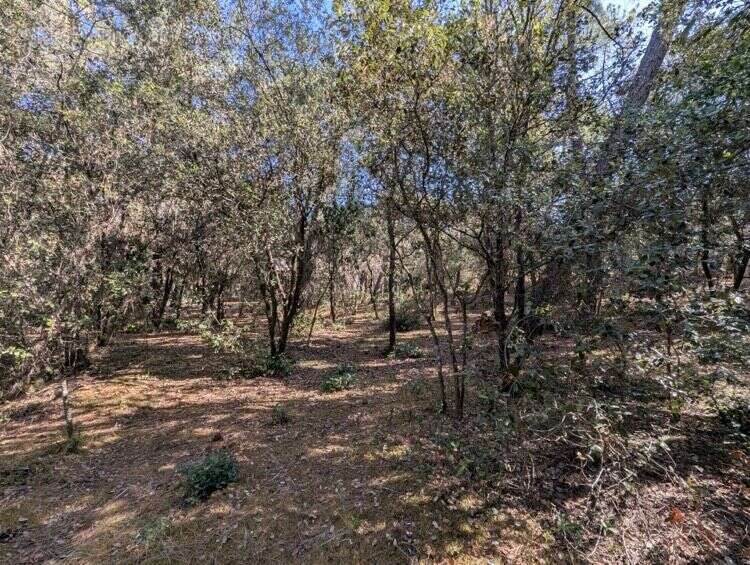 Terrain Constructible de 1550 m² à La Palmyre - photo 4
