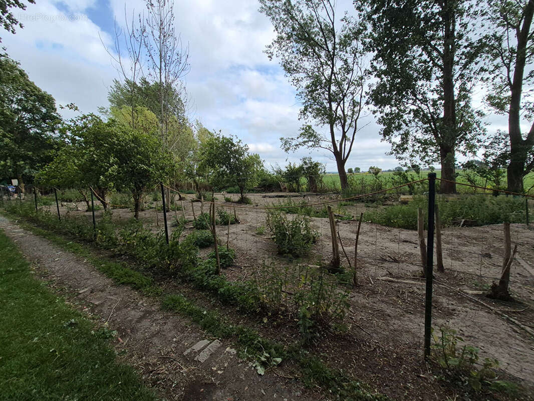 Terrain à LOOBERGHE