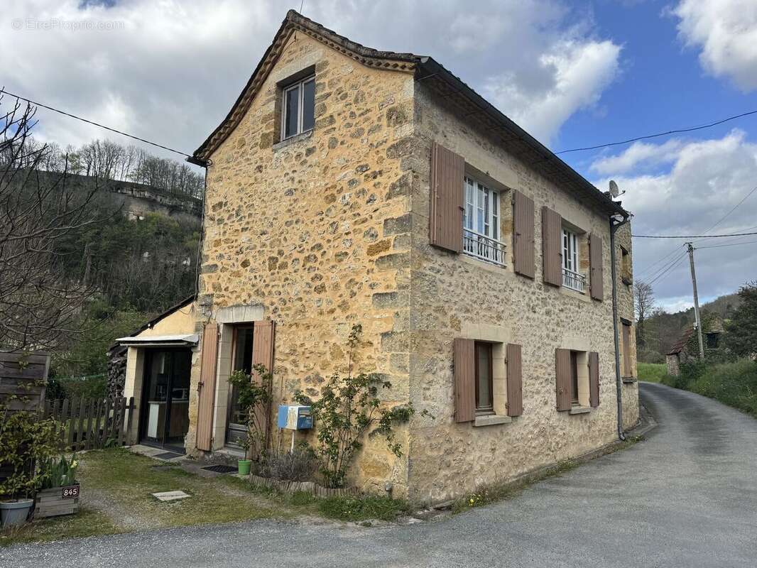 IMG2118 - Maison à BEYNAC-ET-CAZENAC