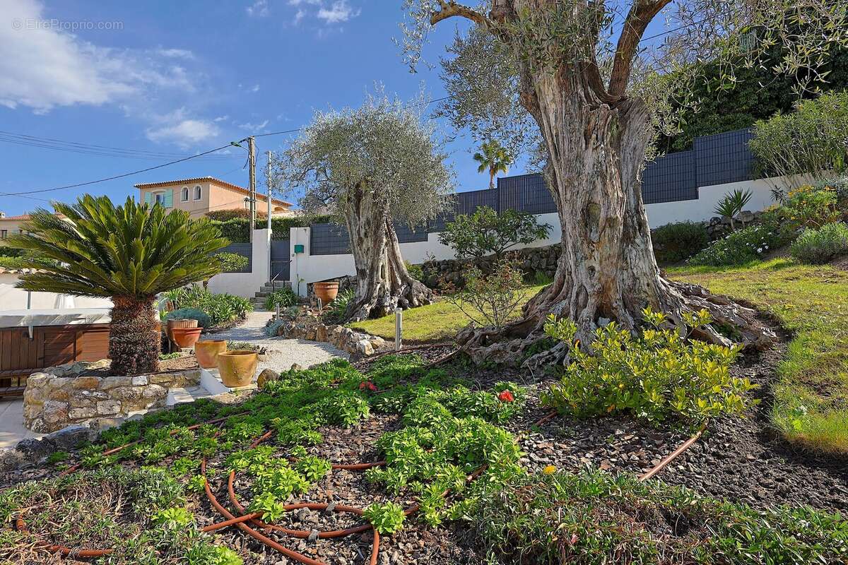 Appartement à VILLENEUVE-LOUBET