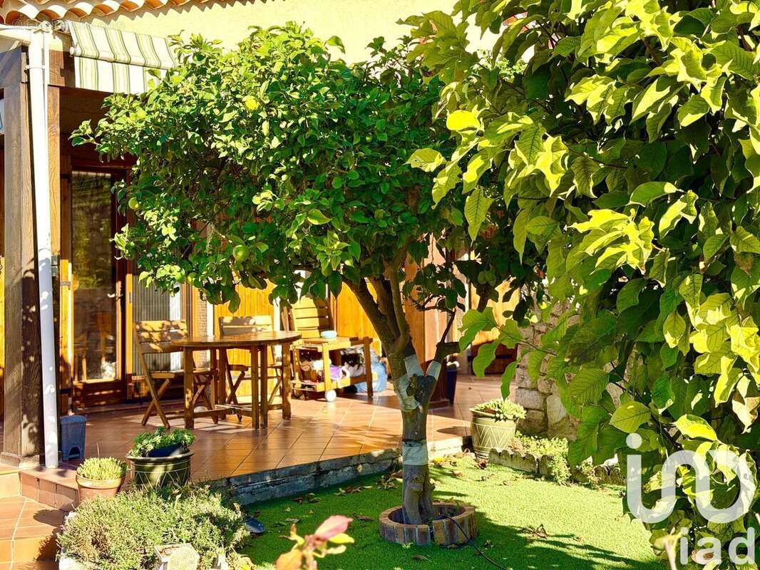 Photo 2 - Maison à LA TRINITE