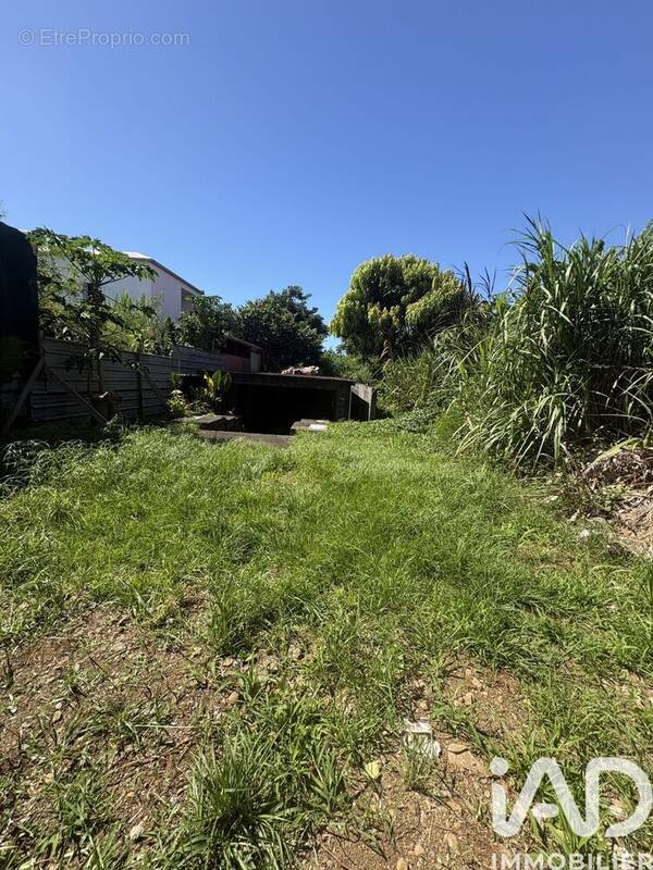 Photo 1 - Terrain à BRAS-PANON