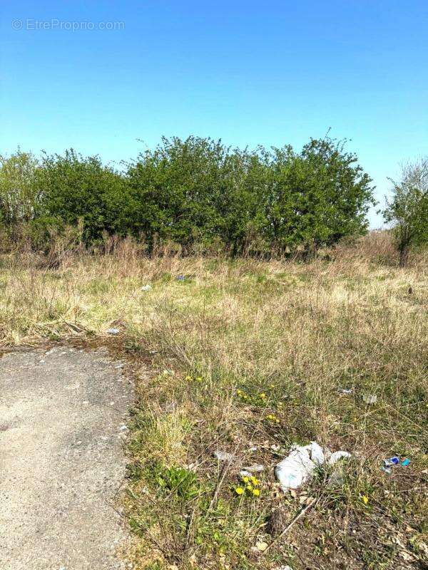 Terrain à MAREST-DAMPCOURT