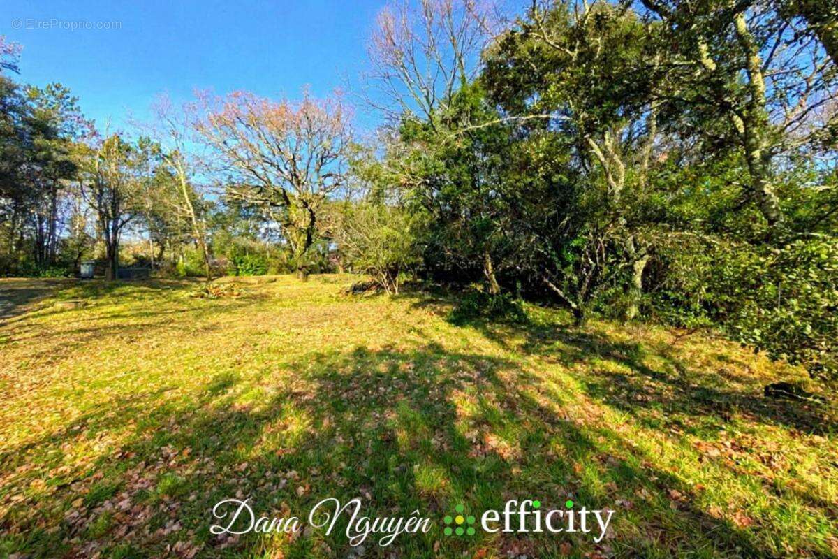 Terrain 1040 m² à Molieres-Sur-Ceze  - photo 2