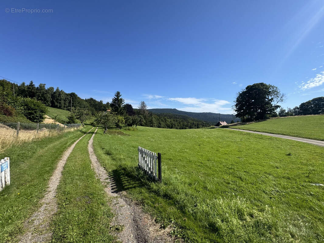Terrain(s) constructible(s) 13,15a Hohwald - photo 7