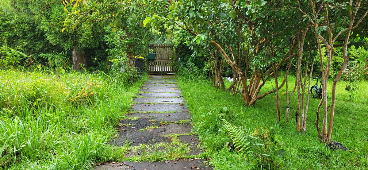 Photo 2 - Terrain à LA PLAINE-DES-PALMISTES