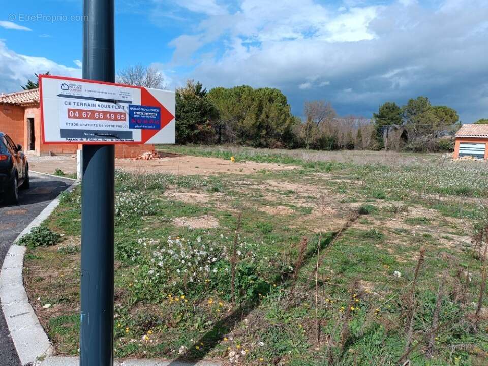 Terrain 357 m² à Le Triadou  - photo 3