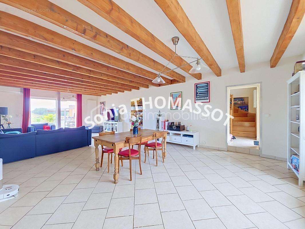 Thomassot Sonia - photo 7