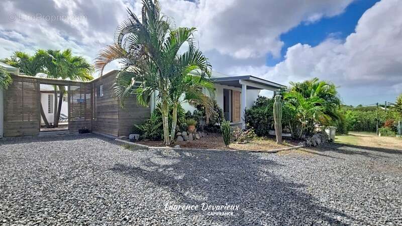 Maison à SAINT-FRANCOIS