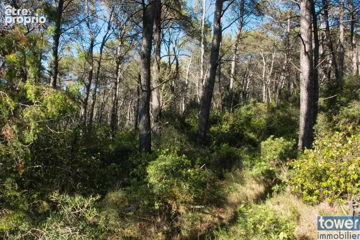 Fabrezan-Terrain 4 ha non constructible en Zone Naturelle - photo 7