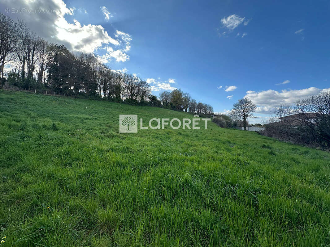 Terrain à CHATILLON-SUR-CHALARONNE