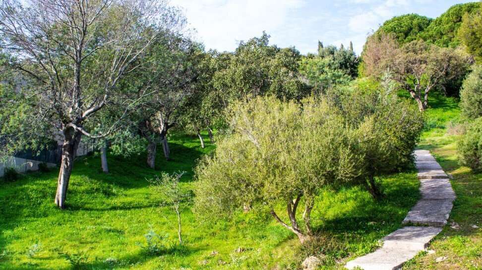 Appartement à BORMES-LES-MIMOSAS