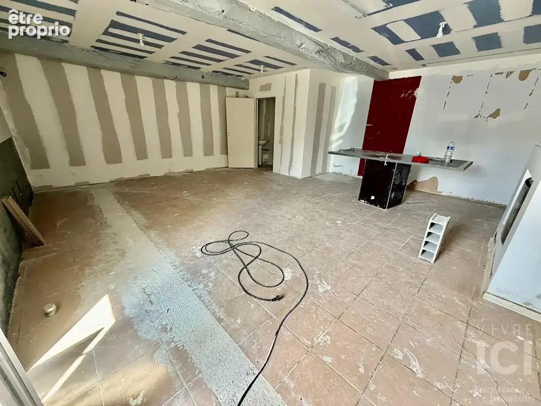 Local commercial TREILLIERES  43.33 m2 - photo 7