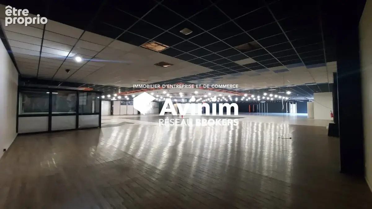 Commerce 1 419 m² à vendre à Annecy (74000) - photo 5