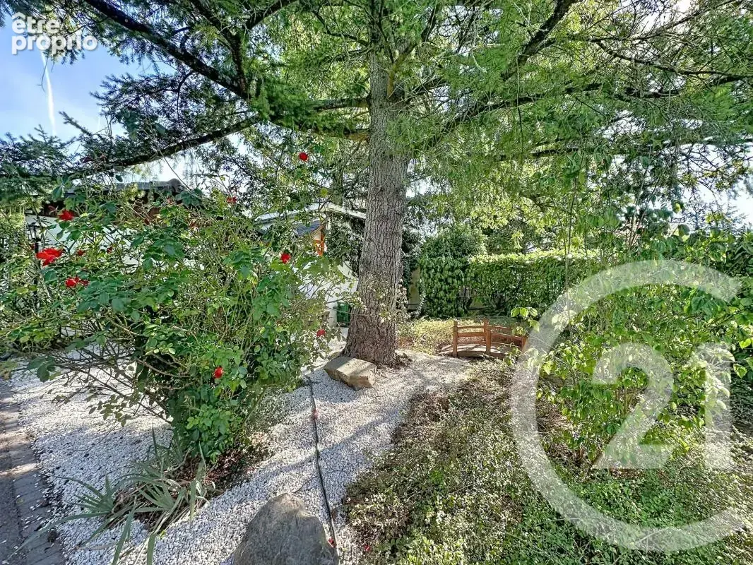 Propriété - photo 22