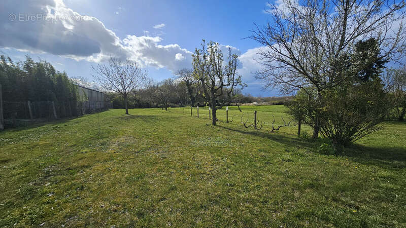 Terrain à CHANNAY-SUR-LATHAN