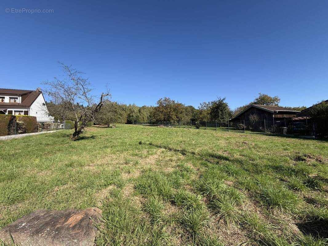 Terrain à BERTRICHAMPS